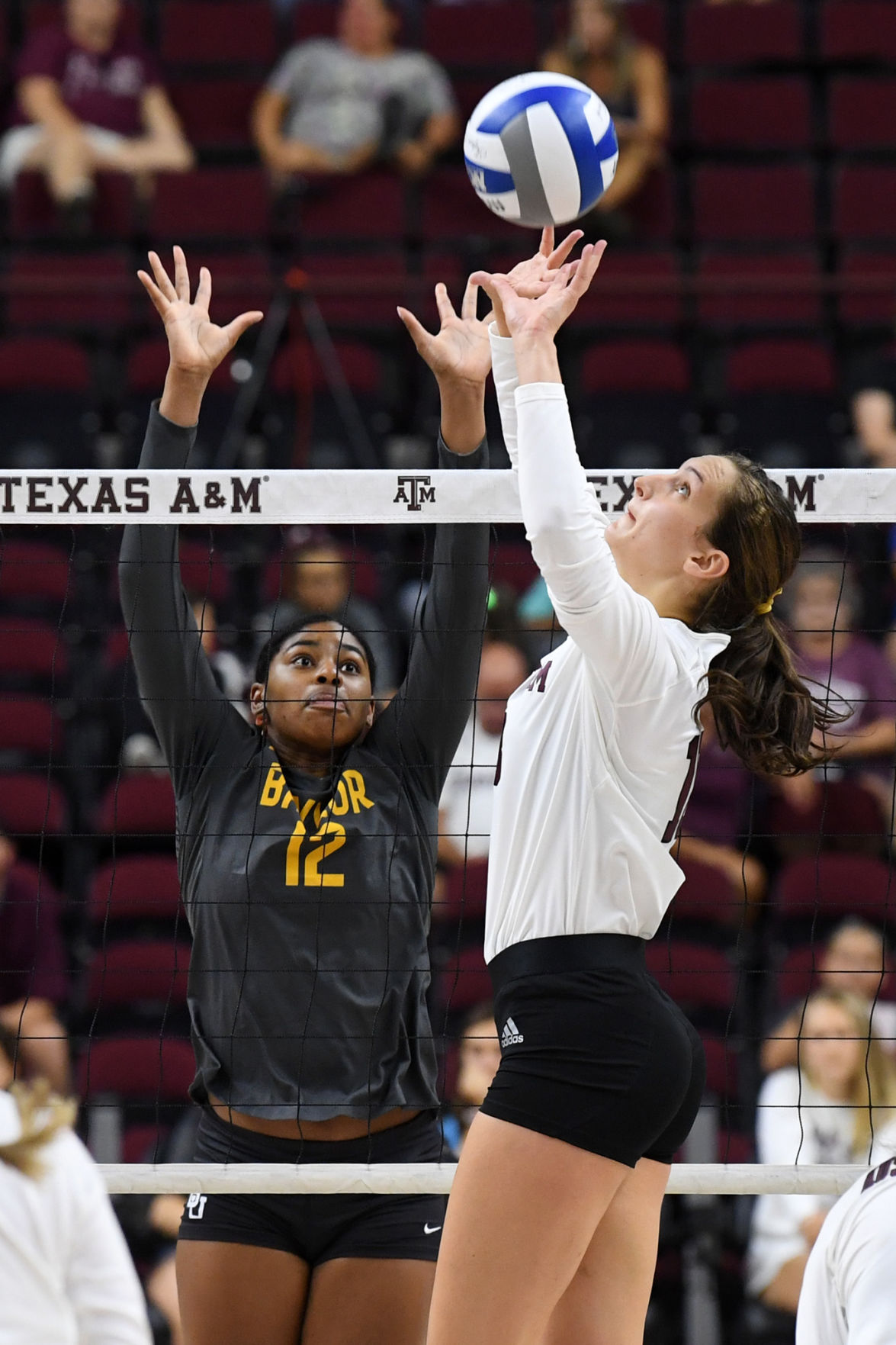 Texas A&M vs. Baylor volleyball